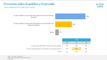 Creencias sobre lo público y lo privado, del Instituto Pulsar de la Universidad de Buenos Aires