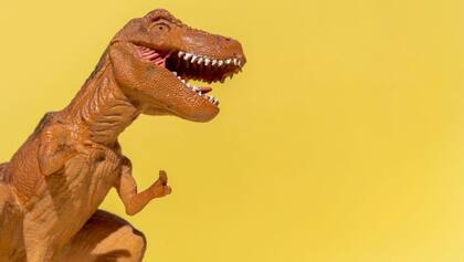 ¿Creerán que son íconos adorados por fieles de una religión desconocida?