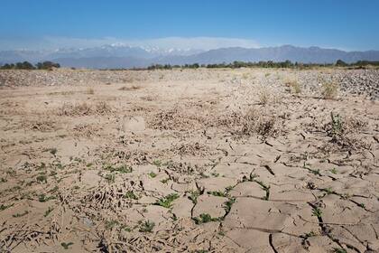Crisis hídrica en Mendoza. Foto: Marcelo Aguilar