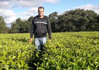 Cristian Klingbeil, productor yerbatero misionero