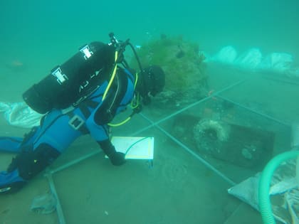 Cristian Murray, durante las labores de excavación submarina en el emplazamiento del naufragio conocido con el nombre de Bahía Galenses, correspondiente a un barco ballenero de mediados del siglo XIX, probablemente de origen norteamericano, en Puerto Madryn, Chubut