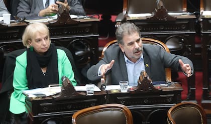 Cristian Ritondo y Silvana Giudici votaron a favor de la emergencia en Bahía Blanca