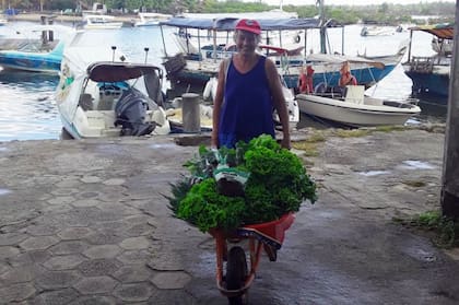 Cristina en una de sus tantas actividades: la venta de verduras de hojas verdes en el pueblo.