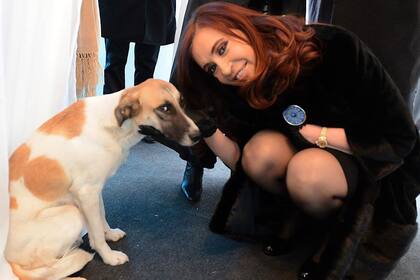 Cristina junto con el animal