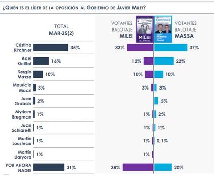 Cristina, Kicillof y Massa, los tres dirigentes más mencionados como líderes de oposición (Fuente: Opinaia)