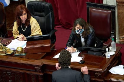 Cristina Kirchner mirá a Martín Lousteau que se acerca al estrado de la presidencia durante una de las sesiones semi virtuales del Senado