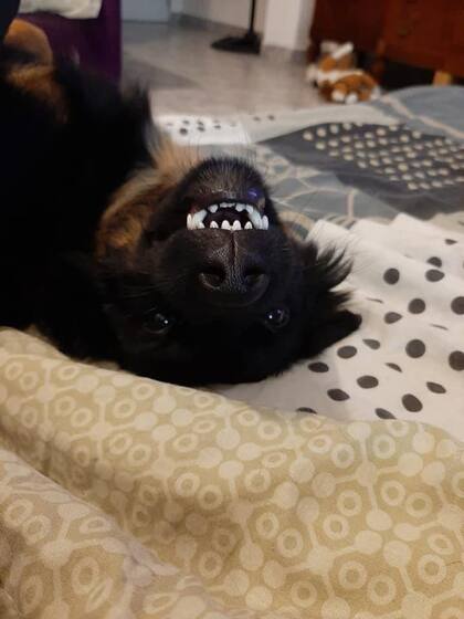 Cristobalito le sonríe a la vida.