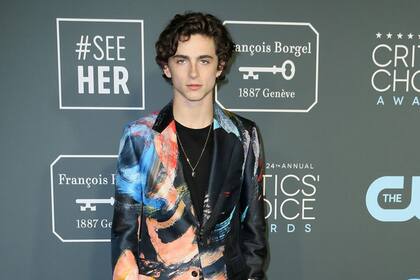 Timothee Chalamet eligió un particular traje con un estampado de colores y además, optó por unas cómodas zapatillas 