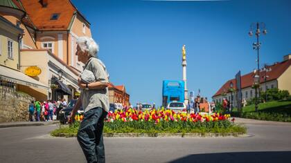 La mayor parte de la arquitectura de la Ciudad Baja, o Lower Zagreb, es del siglo XIV y presenta una mezcla de estilos arquitectónicos. Allí se puede visitar la catedral principal, el mercado Dolac, la Plaza de las Flores, el Observatorio 360° y diferentes circuitos gastronómicos