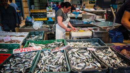 El Mercado Dolac tiene un espacio donde se puede comprar diferentes variedades de pescado fresco. También hay un sector de venta de carnes, pastas y quesos, en el subsuelo; y una zona con flores y plantas