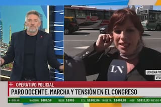 Fuerte cruce entre Luis Novaresio y una diputada K: “Está acostumbrada a que se baje dogmáticamente una línea”