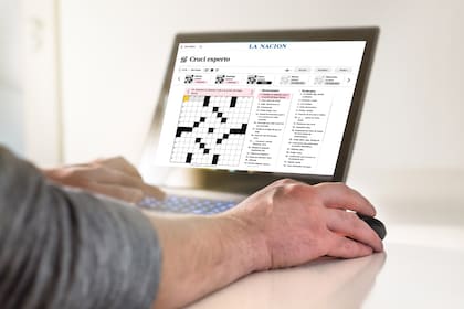 Cruci Experto - LN Juegos