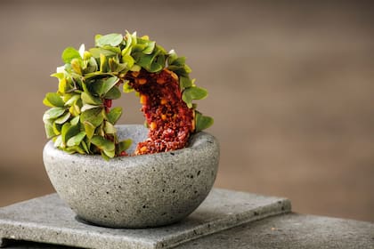 Crudo de ciervo añejado y condimentos del bosque, un snack para compartir