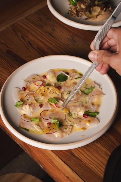 Crudo de pesca con aderezo cítrico