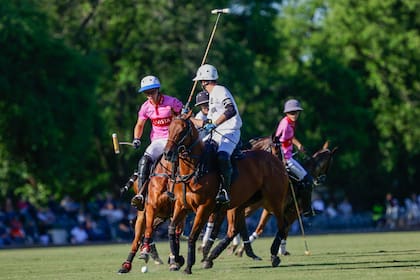 Cruz Heguy, Gonzalo Pieres (h.) y Antonio Heguy, que se enfrentaron en el Abierto de Tortugas, sorprendieron al fusionarse para la próxima temporada, en Ellerstina-Chapaleufú.