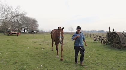 Cruzado – que de once carreras disputadas, ganó siete y salió segundo en otras dos– junto con el petisero que lo entrena, Andrés Lescano, en Saladillo