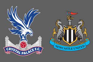 Crystal Palace venció por 2-0 a Newcastle United como local en la Premier League