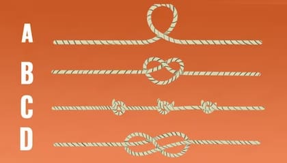 ¿Cuál de las cuatro cuerdas crees que es más larga?