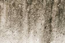 Truco casero: cuál es el procedimiento ideal y de bajo costo para eliminar la humedad de la pared 