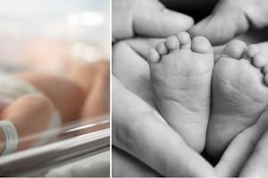 ¿Cuál es el nombre más lindo?