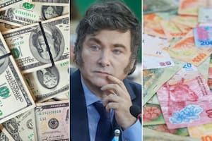 Cuál es la falacia del dólar barato, según Javier Milei: “Adaptarse o morir”