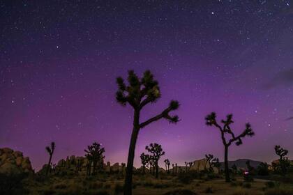 Cuál es la mejor forma para ver auroras boreales