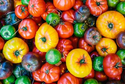 ¿Cuál es tu tomate favorito?