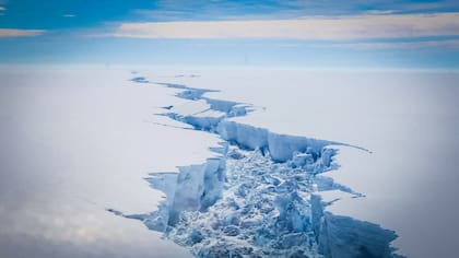Cuál podría ser el recorrido del iceberg y cuándo llegaría a aguas argentinas