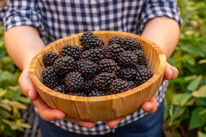 Cuáles son las cuatro frutas antiinflamatorias que recomiendan desde la Universidad de Harvard