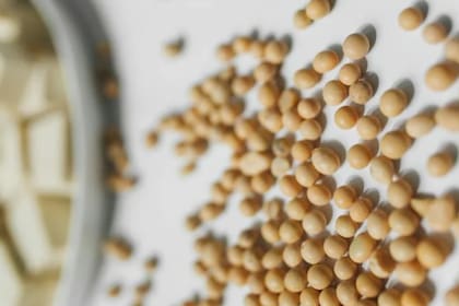 Cuáles son las ventajas de consumir soja periódicamente (Foto Pexels)