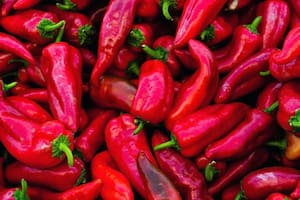 Estos son los beneficios que te perderías si dejás de comer picante