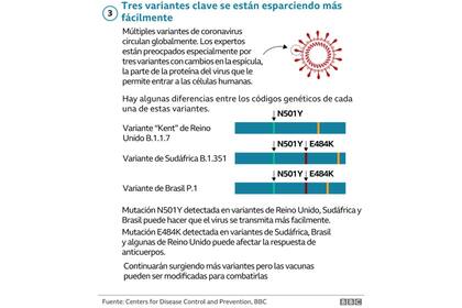 ¿Cuáles son y cómo ocurren las variantes del coronavirus?