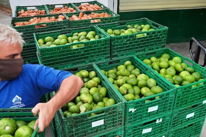 Cuando abrieron el CHS pensaban recolectar no más de 20 mil kilos entre frutas y verduras de la zona, pero ahora son más de 50 mil kilos para repartir