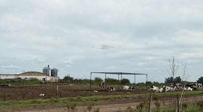 "Cuando agarramos el tambo estaba en 1800 litros y ahora estamos en 5300 litros”, señala