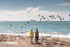 Cuando baja la marea, las aves se acercan a alimentarse de los pequeños
organismos marinos que quedan al descubierto.
