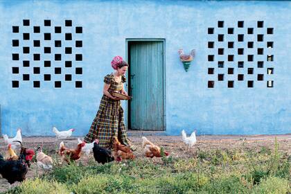 “Cuando cae el sol, todas vienen caminando solas para pasar la noche. Son seres muy inteligentes y alegres”, cuenta De Ridder, retratada a lo Frida Kahlo.