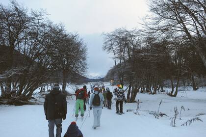 Cuando cae la noche, caminata con raquetas por el bosque de lengas