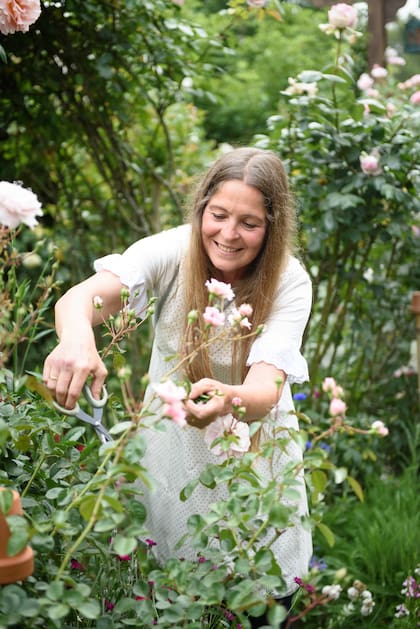 Cuando comienza la época de floración es necesario salir cada día a cortar las flores marchitas, aconseja María Fernanda.