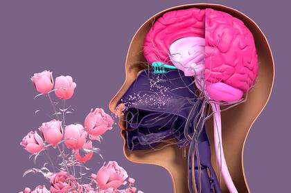 Cuando desciende, la sobrecarga sensorial puede sentirse casi paralizante