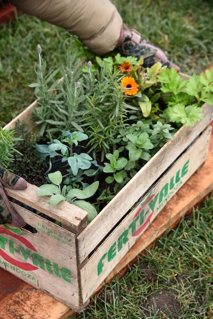 Cuando disminuye el riesgo de heladas, es el momento ideal para comenzar las tareas de presiembra