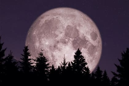 Cuando el satélite natural se encuentra cerca del horizonte puede parecer más grande de lo habitual