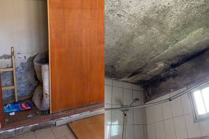 "Cuando entramos sentimos náuseas, fue todo desagradable", reveló la dueña a LA NACION