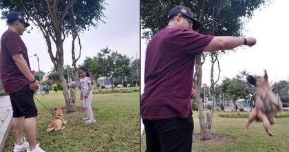 "Cuando era cachorro, hacía sus travesuras, pero cada vez se porta mejor. Berlín es muy juguetón y noble", señala la familia Gamarra Torres