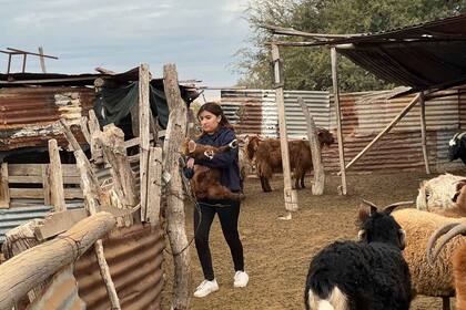 Cuando está en el campo, More ayuda a sus papás con las chivas