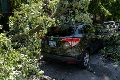 Cuando hace tanto calor, las tormentas se desarrollan muy rápidamente, por lo que se debe estar preparado para refugiarse en el interior si se escuchan truenos fuertes o se observa que las nubes comienzan a elevarse y acumularse