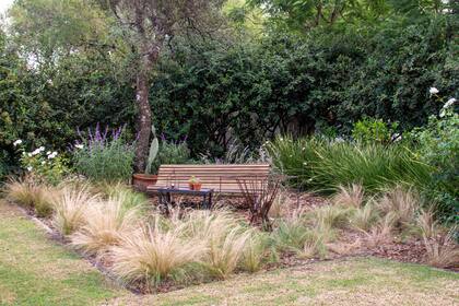 Cuando las plantas están bien adaptadas al entorno, el jardín funciona con más equilibrio y menos esfuerzo