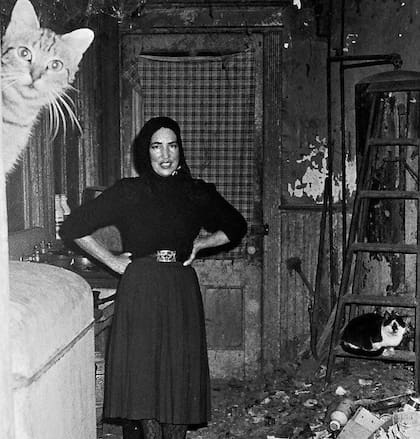 Cuando los hermanos Maysels filmaron "Grey Gardens" se encontraron con las Bouvier viviendo en compañía de treinta gatos