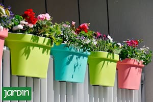 Cuando no hay tierra, pero hay ingenio