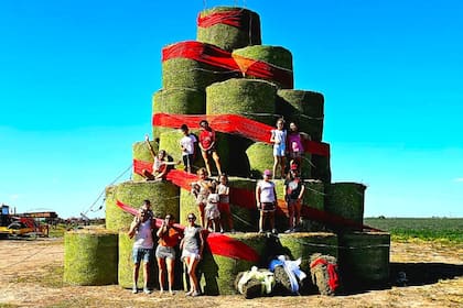 Cuando se hizo el árbol de Navidad