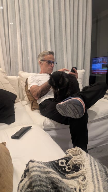 Cuando un gato "amasa" la panza significa que se siente seguro y feliz